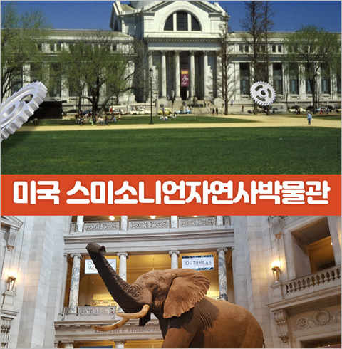 온라인 과학원정대: 집에서 즐기는 해외 박물관  