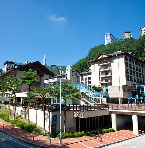 [강원] 하이원 밸리콘도 룸온리(12/01~02/28)   